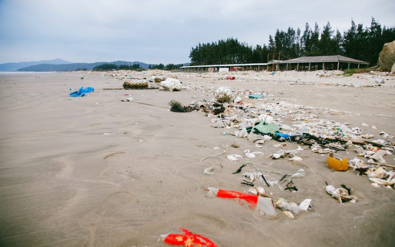 Beach fishery pollution